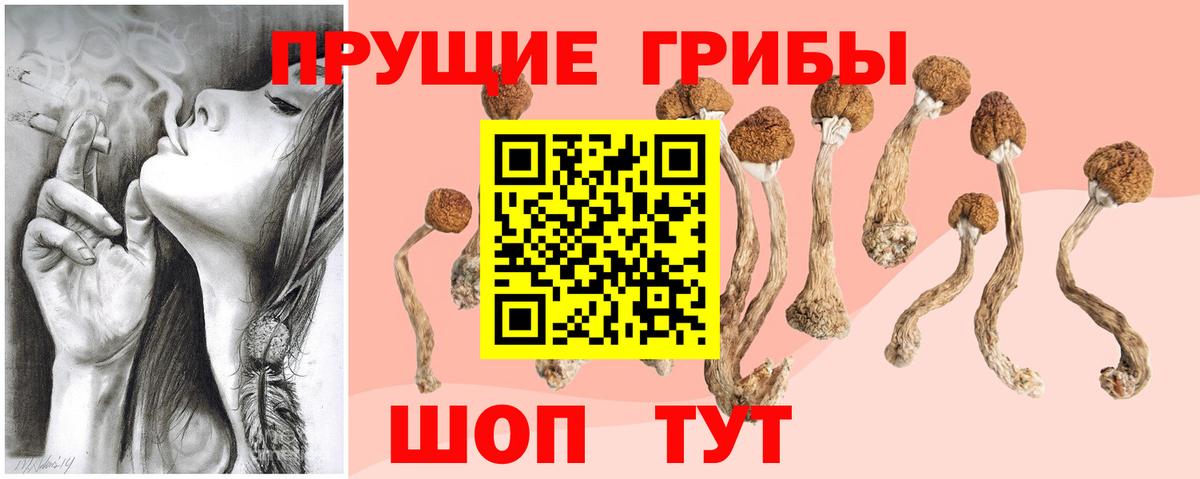 Псилоцибиновые грибы мухоморы  Псилоцибиновые грибы мухоморы  как найти   Балашов  Вход с VPN 