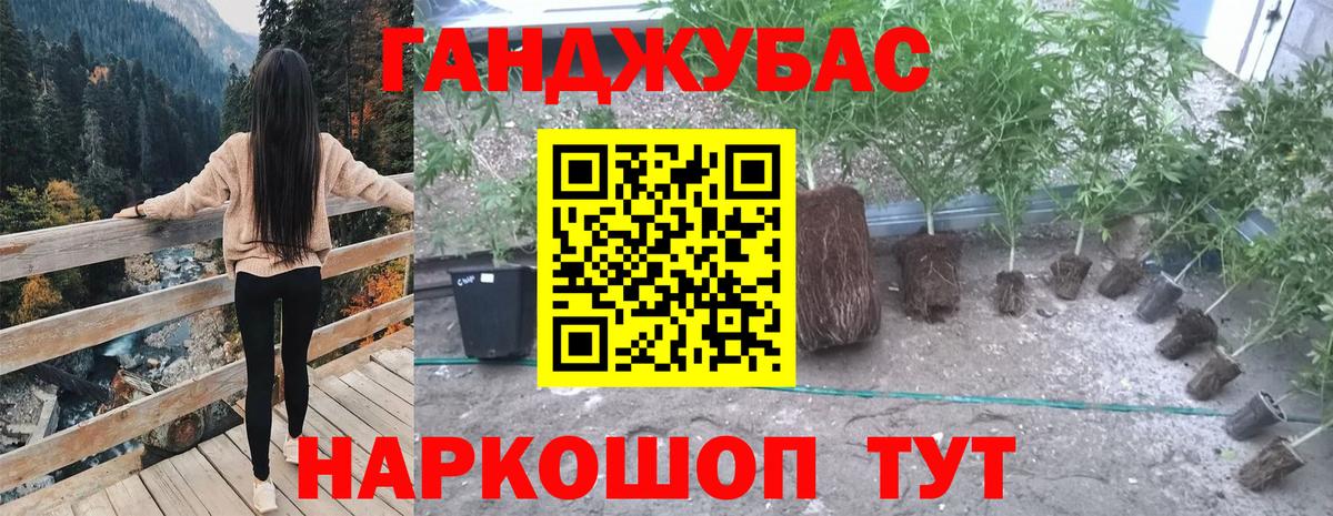 Бошки марихуана гибрид Балашов